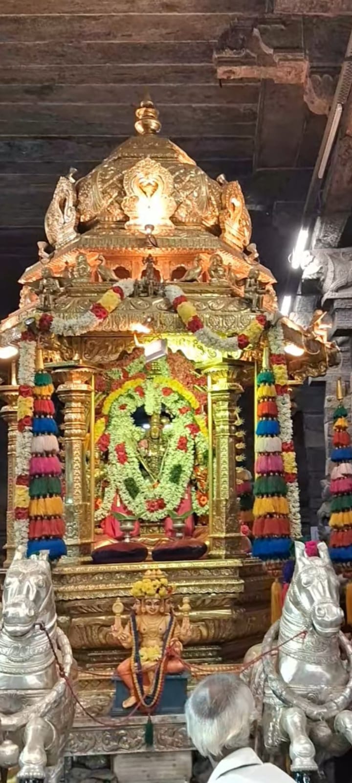 Nadi-Jothidam